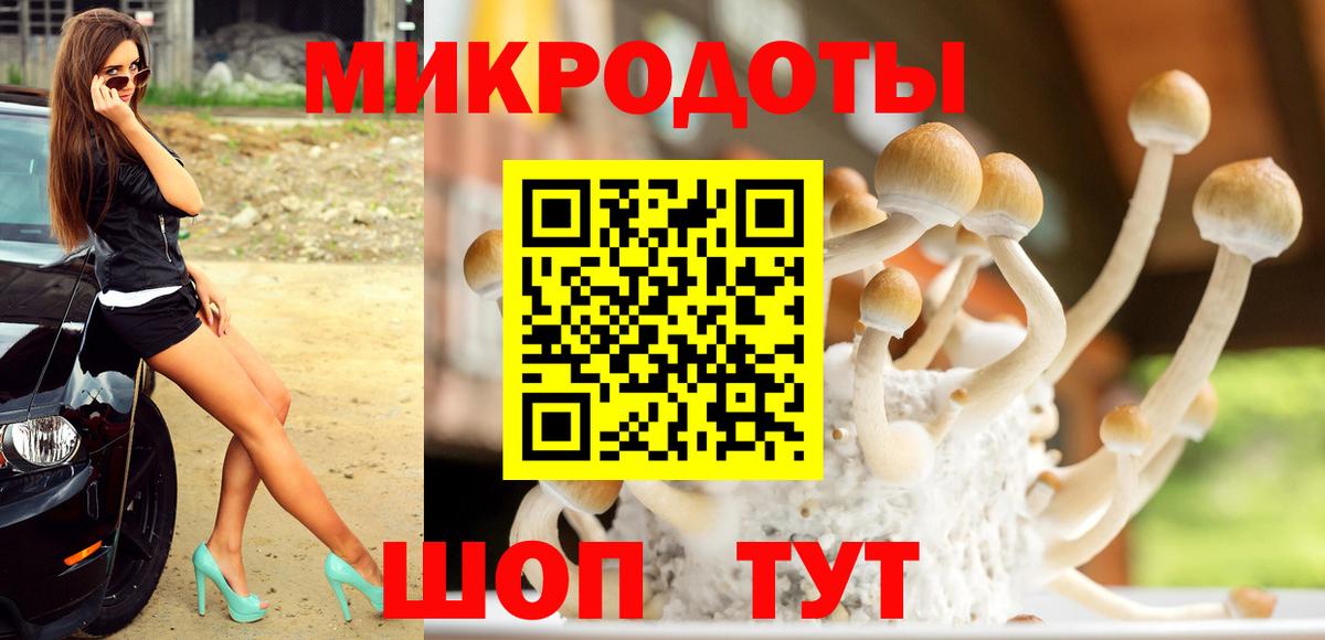 Псилоцибиновые грибы прущие грибы  Вход с VPN  Галлюциногенные грибы Psilocybe  Калуга 