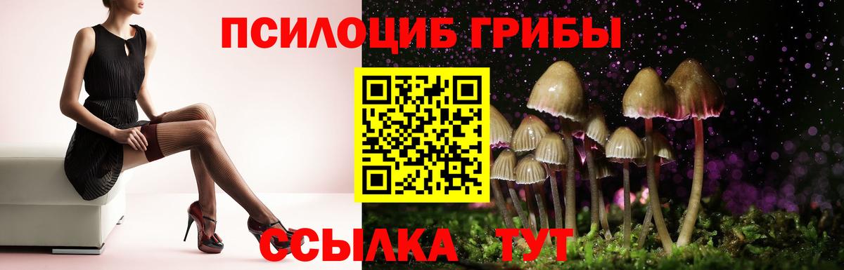 Галлюциногенные грибы мухоморы Калуга